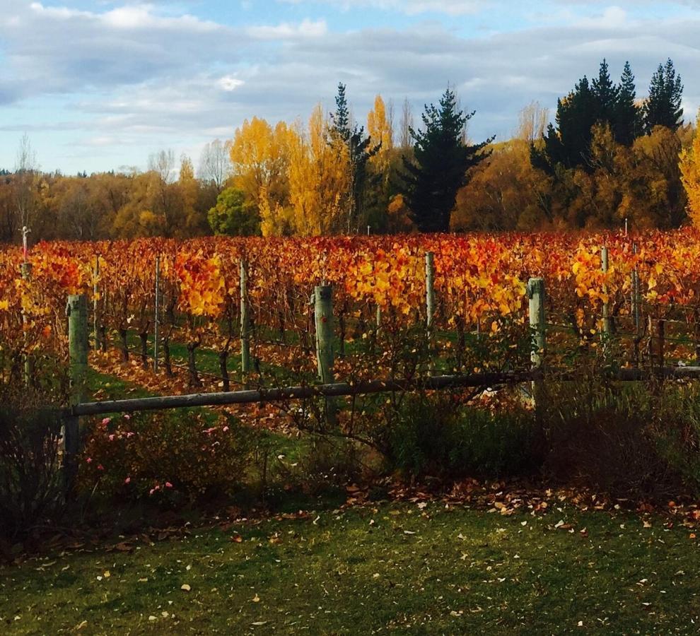 'The Crib' On Legacy Vineyard Villa Alexandra Rum bild