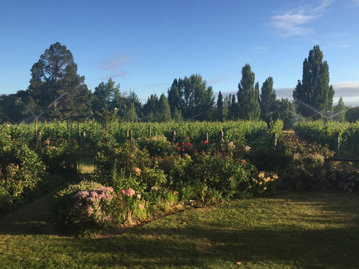 'The Crib' On Legacy Vineyard Villa Alexandra Rum bild